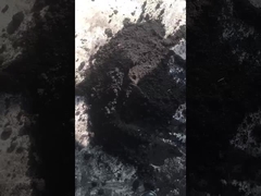 Mesin pembuatan pellet pakan sapi